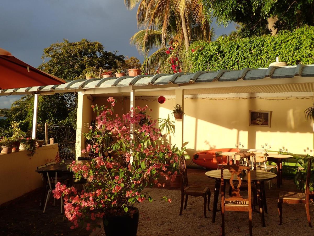 Le Cactus Guesthouse Тер-Руж Экстерьер фото